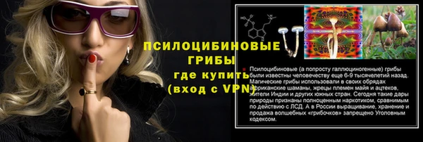 экстази Алексин