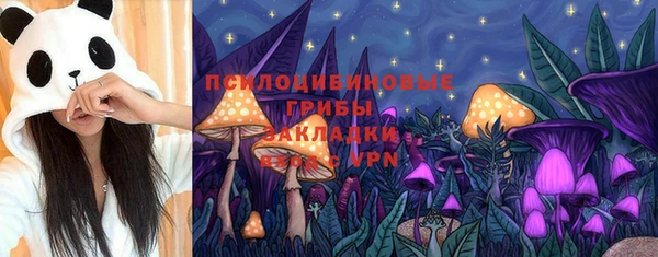 крисы Магас