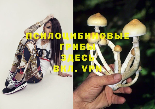 сатива Алексеевка