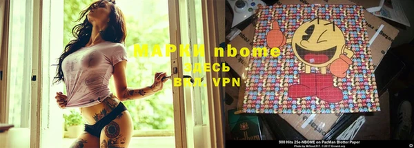 сатива Алексеевка