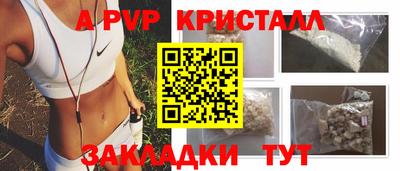 спиды Кингисепп