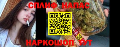 спиды Кингисепп
