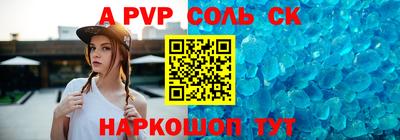 спиды Кингисепп