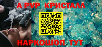 спиды Кингисепп