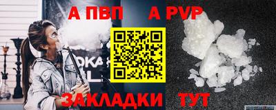 спиды Кингисепп