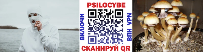 Галлюциногенные грибы мицелий  наркотики  MEGA tor  нарко площадка телеграм  Красноярск 