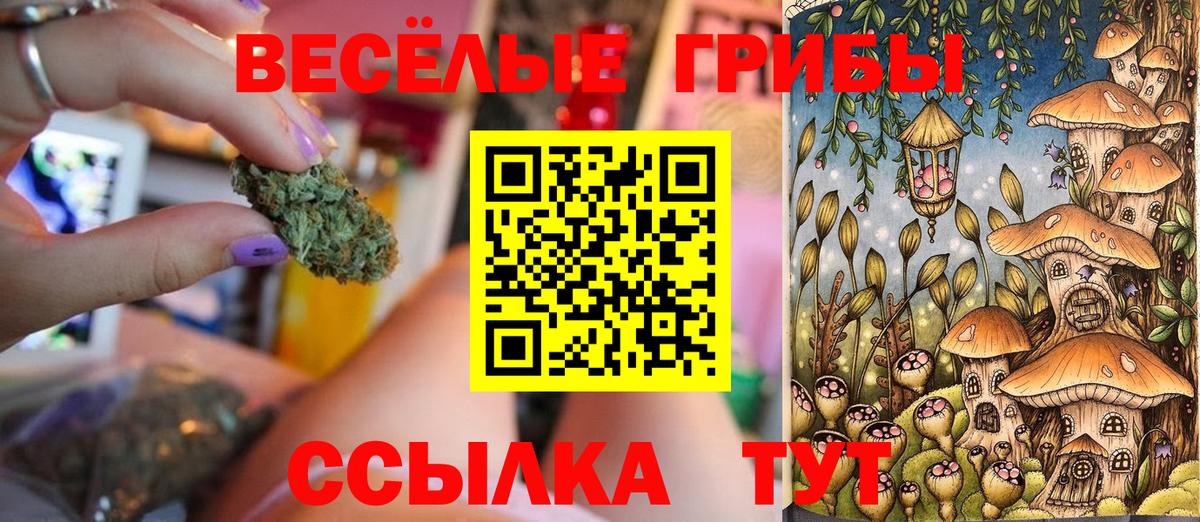 Красноярск  Псилоцибиновые грибы Magic Shrooms  Вход с VPN 