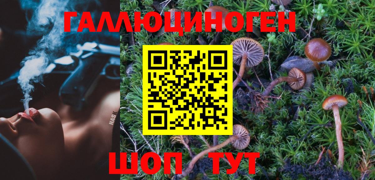 Галлюциногенные грибы MAGIC MUSHROOMS Красноярск